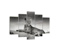 Cuadro Sobre Lienzo 150x100cm Cuadros Pared fauna femenino gato animal Wall Art