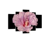Cuadro Sobre Lienzo 150x100cm Cuadros Pared Hibisco Flor Rosa Wall Art Prints
