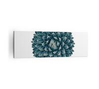 Cuadro Sobre Lienzo 160x50cm Cuadros Pared Agave Reina Victoria Wall Art Prints