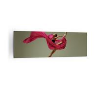 Cuadro Sobre Lienzo 160x50cm Cuadros Pared Bailarina Ballet Artista Wall Art