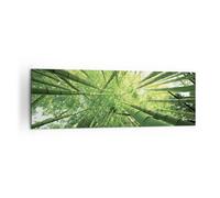 Cuadro Sobre Lienzo 160x50cm Cuadros Pared Bambú Selva Verde Wall Art Prints
