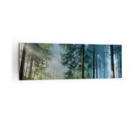 Cuadro Sobre Lienzo 160x50cm Cuadros Pared Bosque Amanecer El Sol Wall Art