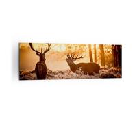 Cuadro Sobre Lienzo 160x50cm Cuadros Pared Deer brezo animal Wall Art Prints