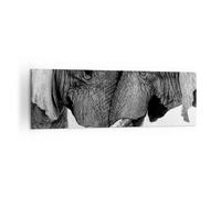 Cuadro Sobre Lienzo 160x50cm Cuadros Pared Elefantes Safari Bond Wall Art Prints