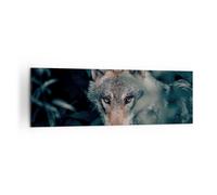 Cuadro Sobre Lienzo 160x50cm Cuadros Pared lobo bosque depredador Wall Art