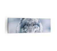 Cuadro Sobre Lienzo 160x50cm Cuadros Pared lobo depredador salvajismo Wall Art