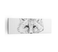 Cuadro Sobre Lienzo 160x50cm Cuadros Pared Lobo niños bosquejo ilustra Wall Art