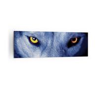 Cuadro Sobre Lienzo 160x50cm Cuadros Pared Mira El Lobo Ojos Wall Art Prints