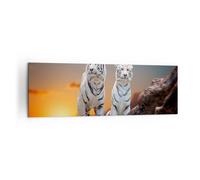 Cuadro Sobre Lienzo 160x50cm Cuadros Pared Tigres blanco roca puesta del sol Art