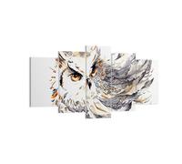 Cuadro Sobre Lienzo 160x85cm Cuadros Búho plumas la sabiduría la naturaleza