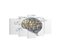 Cuadro Sobre Lienzo 160x85cm Cuadros Cerebro educación experimento ilustración