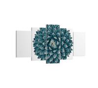 Cuadro Sobre Lienzo 160x85cm Cuadros Pared Agave Reina Victoria Wall Art Prints