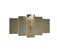 Cuadro Sobre Lienzo 160x85cm Cuadros Pared Bailarina Figura Bailando Wall Art