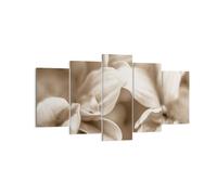Cuadro Sobre Lienzo 160x85cm Cuadros Pared Flores Boho Sin Wall Art Prints Decor