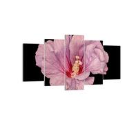 Cuadro Sobre Lienzo 160x85cm Cuadros Pared Hibisco Flor Rosa Wall Art Prints