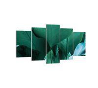 Cuadro Sobre Lienzo 160x85cm Cuadros Pared Hojas Palmeras Plátano Wall Art