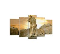 Cuadro Sobre Lienzo 160x85cm Cuadros Pared Leones puesta de sol rocas garras Art