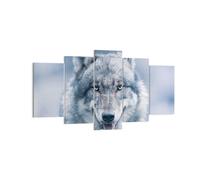 Cuadro Sobre Lienzo 160x85cm Cuadros Pared lobo depredador salvajismo Wall Art