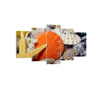 Cuadro Sobre Lienzo 160x85cm Cuadros Pared Seashell mar playa arena Wall Art