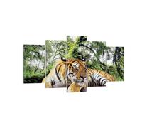 Cuadro Sobre Lienzo 160x85cm Cuadros Pared Tigre Selva Descanso Wall Art Prints