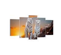 Cuadro Sobre Lienzo 160x85cm Cuadros Pared Tigres blanco roca puesta del sol Art