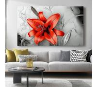 Cuadro sobre Lienzo 40l x30ancm Sin marcoImpresión en material tejido no tejido cuadros Lirio Moderno Abstracto decoracion salon modernos lienzos decorativos dormitorios Rojo gris