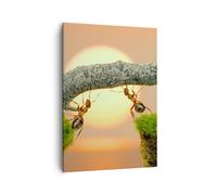 Cuadro Sobre Lienzo 50x70cm Cuadros Animales hormigas puente naturaleza Wall Art