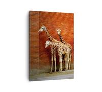 Cuadro Sobre Lienzo 50x70cm Cuadros Animales jirafas zoológico familia Wall Art