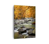 Cuadro Sobre Lienzo 50x70cm Cuadros Corriente Otoño Forrest montaña Wall Art