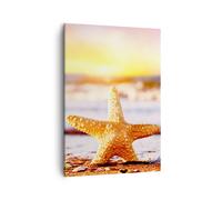 Cuadro Sobre Lienzo 50x70cm Cuadros Estrellas de mar playa arena océano Wall Art