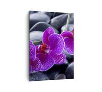 Cuadro Sobre Lienzo 50x70cm Cuadros Flores Piedras Violeta Aromaterapia Wall Art