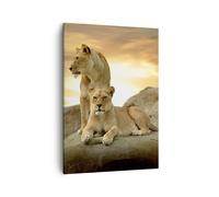 Cuadro Sobre Lienzo 50x70cm Cuadros Leones puesta de sol rocas garras Wall Art