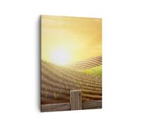 Cuadro Sobre Lienzo 50x70cm Cuadros Mañana granja campo plantación Wall Art