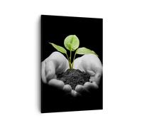 Cuadro Sobre Lienzo 50x70cm Cuadros Naturaleza planta ciencia protección Art