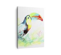 Cuadro Sobre Lienzo 50x70cm Cuadros Pájaro tucán la curiosidad salvaje Wall Art