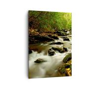 Cuadro Sobre Lienzo 50x70cm Cuadros Pared Árboles arroyo rocas Wall Art Prints