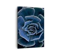 Cuadro Sobre Lienzo 50x70cm Cuadros Pared Azul Cactus Flor Wall Art Prints Decor