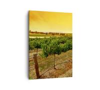 Cuadro Sobre Lienzo 50x70cm Cuadros Pared Campo Viñedo Puesta de sol Wall Art