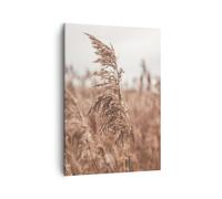 Cuadro Sobre Lienzo 50x70cm Cuadros Pared Caña Prado Boho Wall Art Prints Decor
