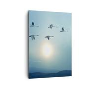 Cuadro Sobre Lienzo 50x70cm Cuadros Pared cigüeña pájaro naturaleza Wall Art