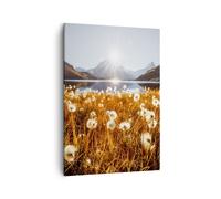 Cuadro Sobre Lienzo 50x70cm Cuadros Pared Dientes De León Sol Campo Wall Art