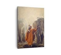Cuadro Sobre Lienzo 50x70cm Cuadros Pared elefante monje selva Wall Art Prints