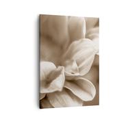 Cuadro Sobre Lienzo 50x70cm Cuadros Pared Flores Boho Sin Wall Art Prints Decor