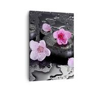 Cuadro Sobre Lienzo 50x70cm Cuadros Pared Flores piedras gotas spa Wall Art