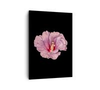 Cuadro Sobre Lienzo 50x70cm Cuadros Pared Hibisco Flor Rosa Wall Art Prints