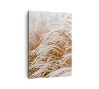 Cuadro Sobre Lienzo 50x70cm Cuadros Pared Hierba Naturaleza Escarcha Wall Art