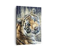 Cuadro Sobre Lienzo 50x70cm Cuadros Pared India piedra tigre salvaje Wall Art