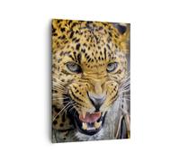 Cuadro Sobre Lienzo 50x70cm Cuadros Pared Leopardo animal sabana áfrica Wall Art