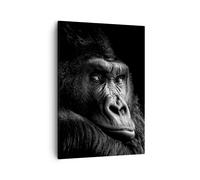 Cuadro Sobre Lienzo 50x70cm Cuadros Pared Mono Gorila Retrato Wall Art Prints