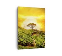 Cuadro Sobre Lienzo 50x70cm Cuadros Pared Montaña árbol camino colina Wall Art